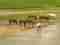 This image for Image Layouts addon
