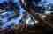This image for Image Layouts addon